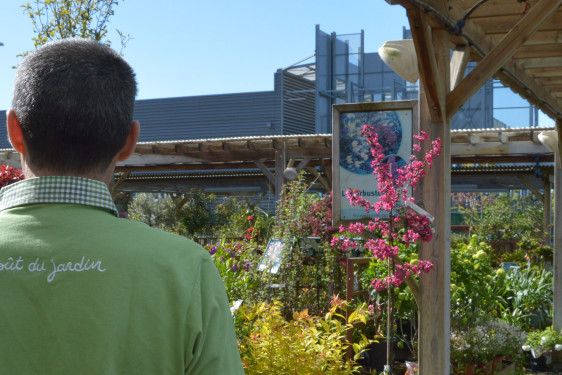 Vendeur GV pepiniere